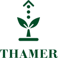Thamer Web